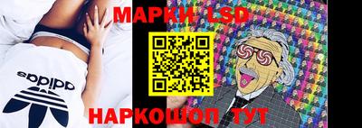 эйфоретик Можга